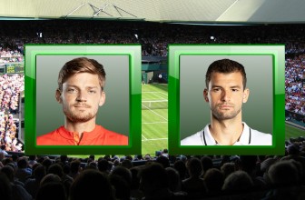 David Goffin vs. Grigor Dimitrov – Prediction (ATP Paris – 30.10.2019)